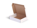 Papírová krabice jednodílná, 262 x 190 x 60 mm