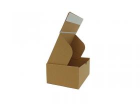Krabice s trhací páskou 305×210×91